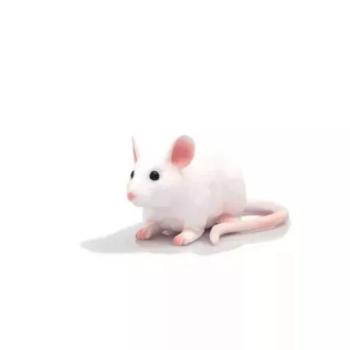 Mojo: Egér - 6,5 cm kép