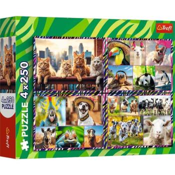 Mókás állatok 4x250db-os puzzle - Trefl kép