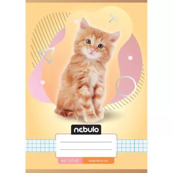 Nebulo: Cicás mintás kockás füzet A/5 27-32 kép
