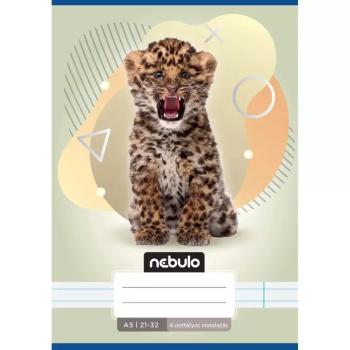 Nebulo: Leo mintás 4.osztályos vonalas füzet A/5 21-32 kép