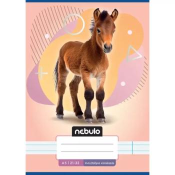 Nebulo: Paci mintás 4.osztályos vonalas füzet A/5 21-32 kép