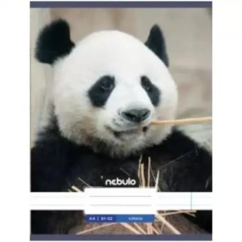 Nebulo: Panda sima füzet A4 80-32 kép