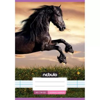 Nebulo: Tűzött 1. osztályos vonalas füzet A5-ös 14-32 Cuki mintás - Lovas kép