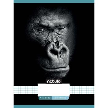Nebulo: Tűzött kockás füzet gorilla mintás 87-32 A/4