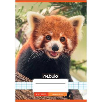 Nebulo: Tűzött vörös panda mintás kockás füzet 27-32 A/5 kép