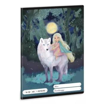Northern Lights: Vonalas füzet - 1. osztályos, A/5-ös kép