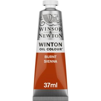 Olajfesték barna 37ml Winsor & Newton kép
