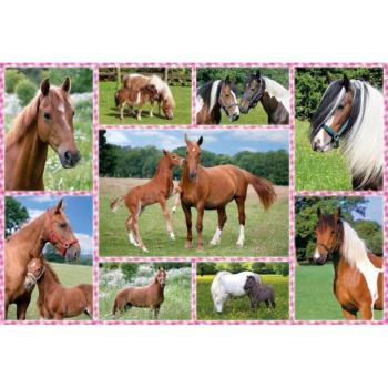 Pferdeträume, 150 db (56269) Beautiful Horses, 150 pcs kép