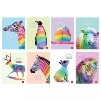 Pigna: Animal Rainbow vonalas füzet, A4 - többféle kép
