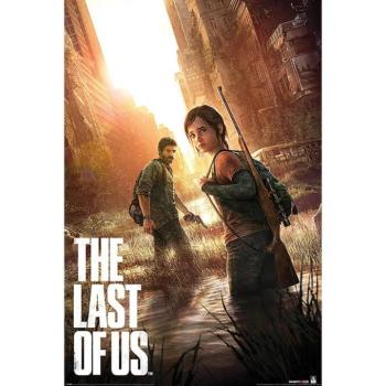 Playstation (The Last Of Us) poszter kép