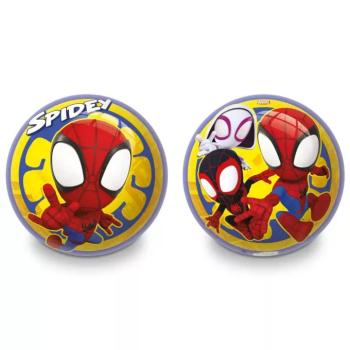 Pókember: Spidey 23cm-es Bioball gumilabda - Mondo toys kép