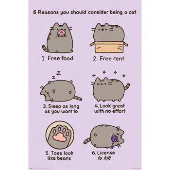 Pusheen (REASONS TO BE A CAT) maxi poszter kép