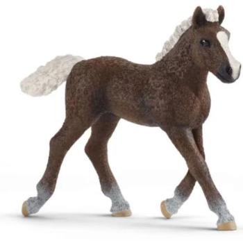 Schleich: Schwarzwaldi csikó figura (13899) kép