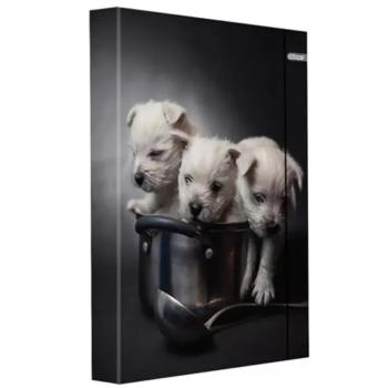 Spirit: Kiskutyusok füzetbox gumipánttal A/4-es méretben kép