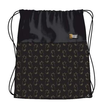 St.Right Golden Cats tornazsák, sportzsák 43x34cm kép