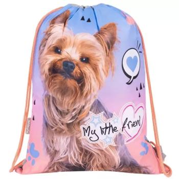 St.Right Grey Yorkie tornazsák, sportzsák 43x32cm kép