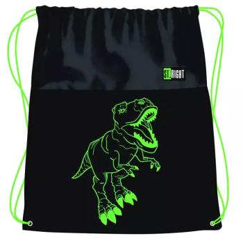 St.Right T-Rex dinoszaurusz mintás tornazsák, sportzsák 43x32cm kép