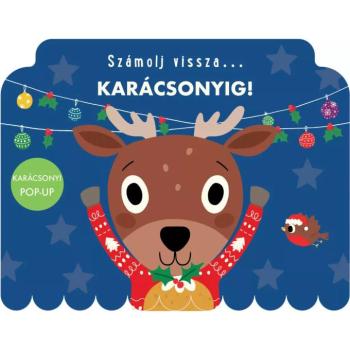 Számolj vissza... Karácsonyig! mesekönyv kép