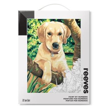 Számozott festés - Labrador 30x40 cm kép